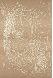 Ковер  NATURAL10 RETE dark beige